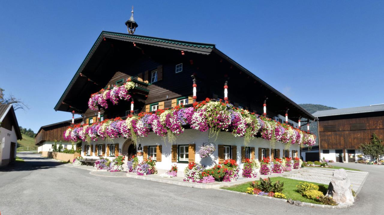 Thomanhof Chalet-Appartement Saalfelden Екстериор снимка